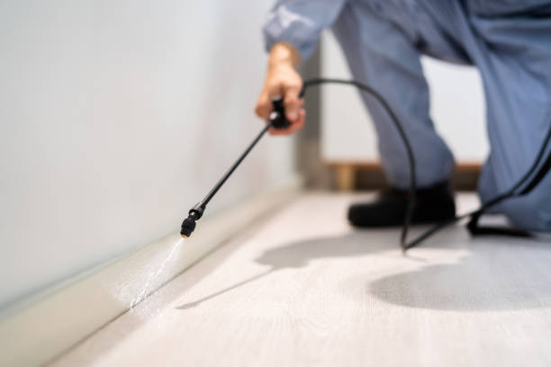 Licensed Pest Control service in Crainville, IL - Show Me Pest Control