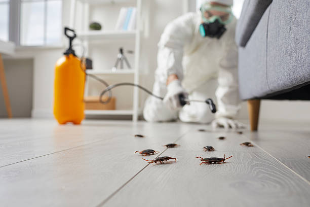 Commercial Rodent Management in Crainville